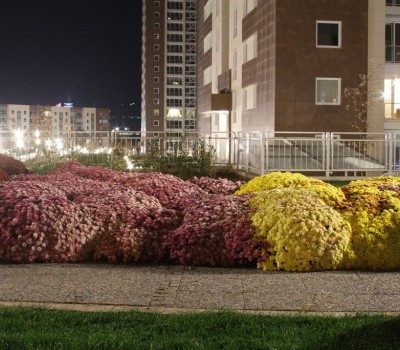 Ankara Park Oran Konutları